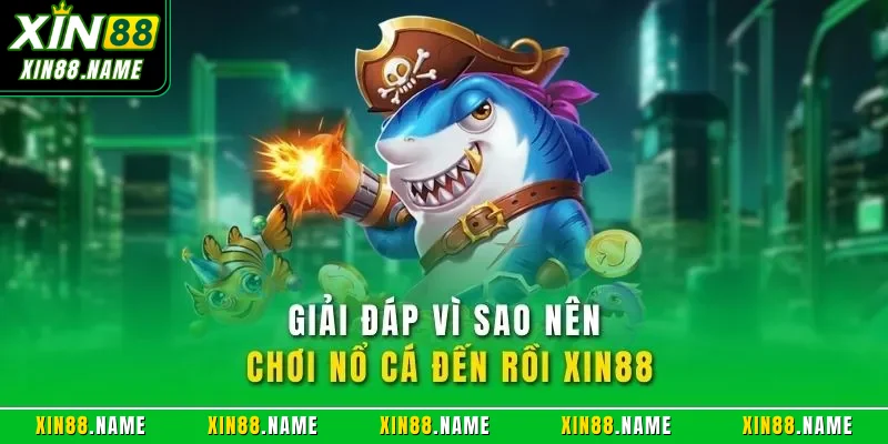 Giải đáp vì sao nên chơi nổ cá đến rồi XIN88
